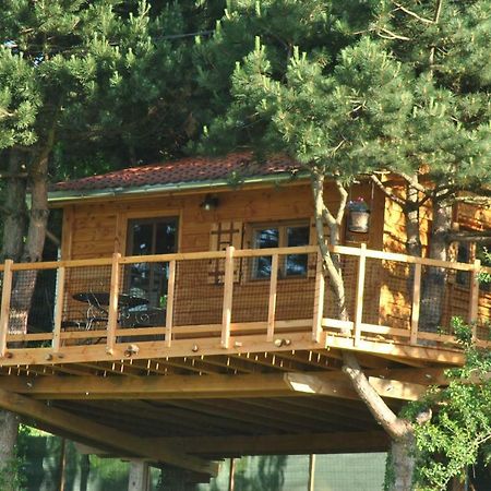 L'Etournelle - Cabane Perchee Chaussan Eksteriør bilde